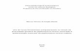 Tese_Final_Versão_Digital.compressed.pdf - RI UFPE