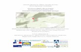 Le mobilier métallique [de San Paolo, Méria, Haute-Corse]. In : Lechenault M. et al., San Paolo (Méria, Haute-Corse). Document final de Synthèse 2014. Evaluation archéologique,