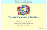 Telecommunication Services - ibse.hk