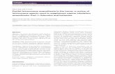 a review of intravenous agents used to supplement equine ...