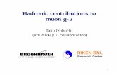 Hadronic contributions to muon g-2