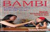 bAMbI breastfeeding Survey 2016 - Bangkok Mothers ...