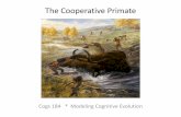 The Cooperative Primate