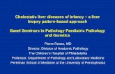 a liver biopsy pattern-based approach Basel Seminars in ...