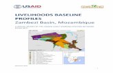 LIVELIHOODS BASELINE PROFILES Zambezi Basin ...