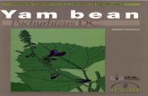 Yam Bean - Pachyrhizus DC. - Bioversity International