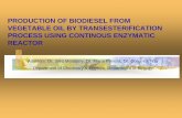 PRODUCTION OF BIODIESEL FROM VEGETABLE OIL BY TRANSESTERIFICATION PROCESS USING CONTINOUS ENZYMATIC REACTOR