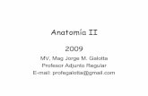 Anatomía II 2009