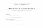 PS Gustavo Ramirez-ITF.pdf - RDU - UNC