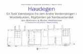 Haudegen - en tysk værstasjon fra den andre verdenskrigen på Svalbard