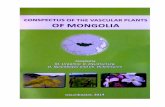Apiaceae (Umbelliferae)_in Conspectus of the vascular plants of Mongolia (2014)
