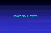 PowerPoint Presentation - Microbial Growth