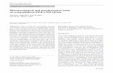 Rheomechanical and morphological study of compatibilized PP/EVOH blends