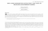 Are Loan Guarantees Effective? The Case of Mexican Government Banks