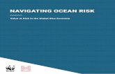 NAVIGATING OCEAN RISK