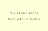 10Sex Linked Genes