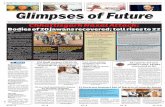 Chhattisgarh Naxal Attack: - Glimpses Of Future- Daily Epaper