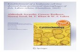 Establishment of a leukocyte cell line derived from peritoneal macrophages of fish, Labeo rohita (Hamilton, 1822)