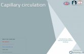 Capillary circulation - KSUMSC