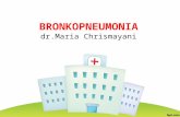 Bronkopneumonia Fix