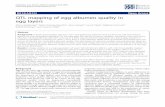 QTL mapping of egg albumen quality in egg layers