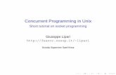Concurrent Programming in Unix - Short tutorial on socket ...
