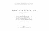 Financial Tables and Analysis (Turkish)