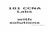 101 CCNA Labs â with solutions