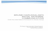 BRUNEI DARUSSALAM'S INITIAL NATIONAL COMMUNICATION