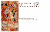 Fauna of Australia 2A - Reptilia - Crocodylia - Morphology