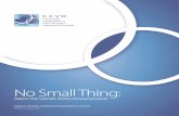 No Small Thing: - Calgary Chamber of Voluntary Organizations