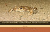 2012 Terrestrial Wildlife and Vegetation Effects Assessment