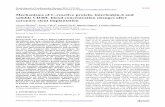 Mechanisms of C-reactive protein, interleukin-6 and soluble CD40L blood concentration changes after coronary stent implantation