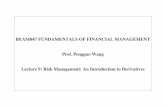 Lecture 09 Risk management
