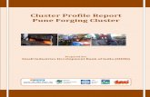 Cluster Profile Report - Pune (Forging) Cluster