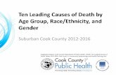 Leading-Causes-2012-2016.pdf - Cook County Department of ...