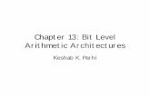Chapter 13: Bit Level Arithmetic Architectures