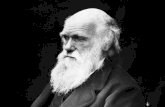 Darwin e o pensamento evolutivo (2013)