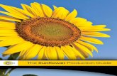 The Sunflower Production Guide - Manitoba Crop Alliance