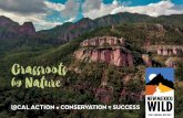 Grassroots by Nature - New Mexico Wilderness Alliance