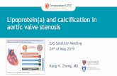 Lipoprotein(a) and calcification in aortic valve stenosis