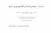Adsorption, Aggregation and Structure Formation in Systems ...