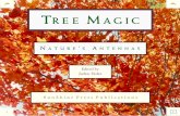 Tree Magic: Nature's Antennas - SunShine Press