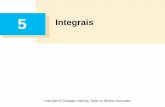 5 Integrais - IME-USP