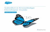 Salesforce Knowledge Developer Guide - Audentia