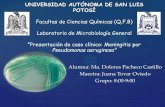 Meningitis por Pseudomonas aeruginosa - Repositorio institucional