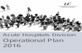 Acute Hospitals Division - HSE