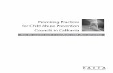 Promising Practices for Child Abuse Prevention Councils in ...