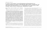 P-Glycoprotein and Multidrug Resistance - NCBI