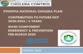 ethiopia national cholera plan contribution to future ncp 2020 ...